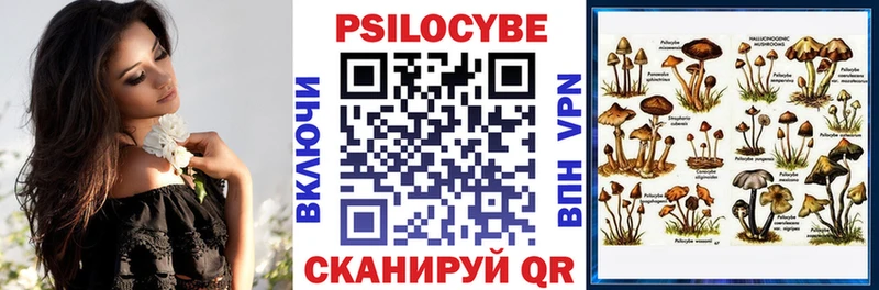 Галлюциногенные грибы Psilocybine cubensis  Ветлуга 